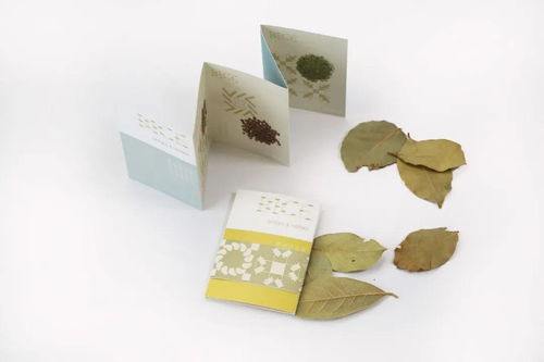 日用时尚产品包装设计新趋势 深圳弥高创意设计的文化艺术咨询服务分享